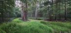 1.4 Acres in Big Pond Private Lake Community â€“ Huguenot, NYWelcome to Big Pond, a peaceful private lake community nestled in the Town of Deerpark. This 1.4-acre wooded lot with a rough-cut driveway already in place is the perfect spot to build your dream home or weekend getaway.Just a short walk brings you to the lake, where you can enjoy fishing, swimming, and boating in a serene setting. Outdoor enthusiasts will love the miles of hiking trails and frequent wildlife sightings, offering the best of country living while still being conveniently located.Bring your plans and visionâ€”this property is ready to become your retreat in the woods.