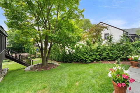 Yard