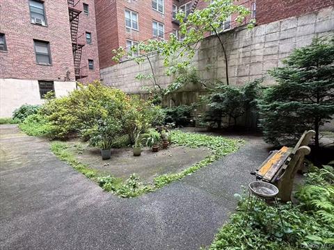 Yard