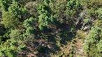Breathe in the country air and build your new home on 1.3 acres in Rustic Hills. This corner lot is located on a private road, just minutes from the Bashakill Wildlife Preserve and Route 17, and about 75 miles (1.5 hours) from New York City. The setting offers privacy and a peaceful natural environment while still being convenient for commuting or weekend getaways. Soil type is unknown and the property is not BOH approved. Sold as is. All offers must include proof of funds.