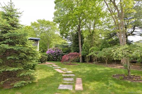 Yard