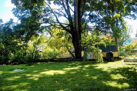 Yard