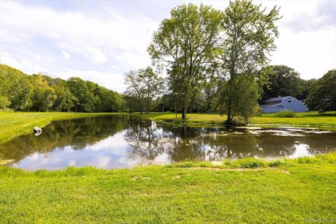 Pond
