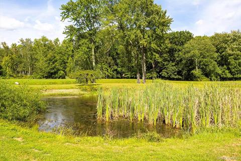 Pond