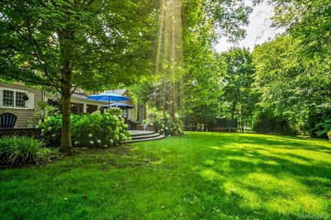 Yard