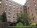 Finally - An Apartment That Meets Your Needs! One Bedroom Co-Op Situated In Woodhaven And Surrounded By The Beautiful Forest Park. This SPACIOUS & AFFORDABLE Unit Features A Bright & Airy Living Room, Spacious Bedroom With Plenty Of Closet Space & Functional Kitchen. IDEAL FOR FIRST TIME HOME BUYERS OR HOMOWNERS LOOKING TO DOWSIZE And ENJOY WORRY-FREE LIVING. You Will Appreciate This WELL MAINTAINED BUILDING And Fact That All Utilities & Taxes Are Included In Already Low (!!!) Monthly Maintenance Fee. COMMUTING IS A BREEZE With Multiple Public Transportation Options For A Super Easy Access To LITERALLY ALL. Parking Is Available But Waitlisted. Prime Location Just By The FOREST PARK With Multiple Playgrounds, Hiking Trails, BBQ Area, Carousels, A Running Track, Tennis Courts, Baseball Fields, A Golf Course & So Much More!