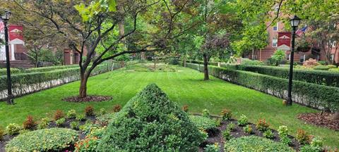 Yard
