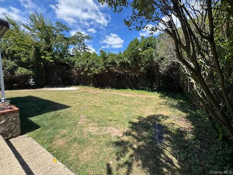 Yard