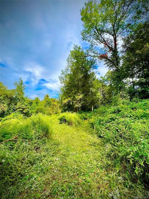 Property Picture
