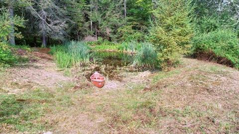 Pond