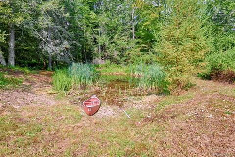 Pond