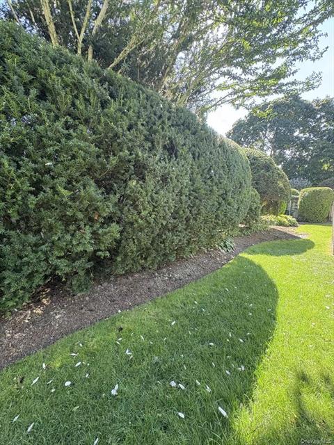 Yard