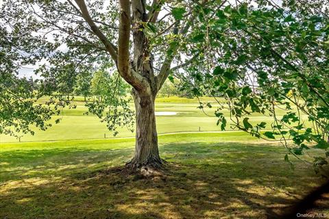 Golf Course