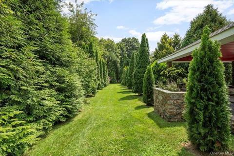 Yard