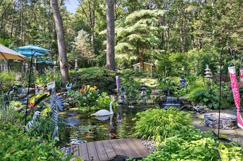 Pond