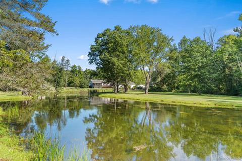 Pond