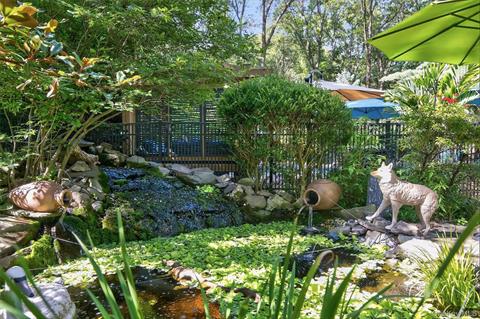 Pond