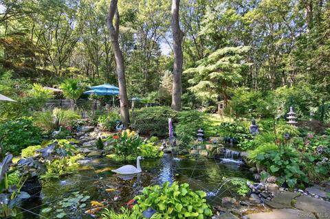 Pond