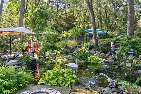 Pond