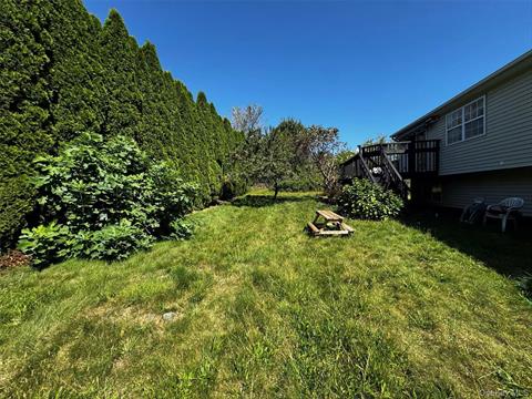 Yard