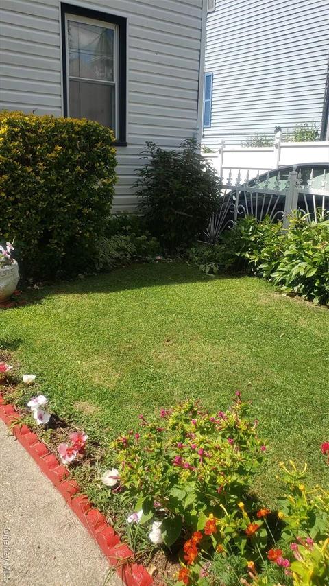 Yard