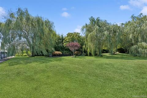 Yard