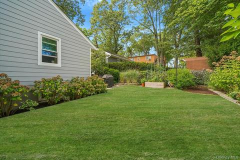 Yard
