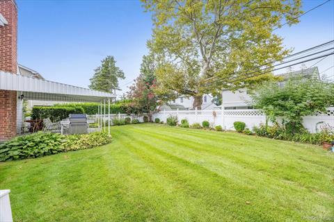 Yard