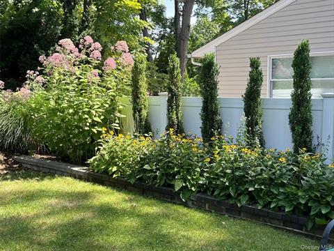Yard