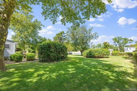Yard
