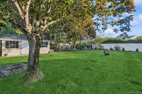 Yard
