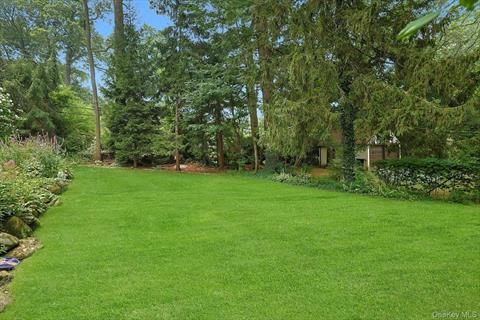 Yard