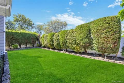 Yard