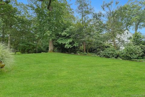 Yard