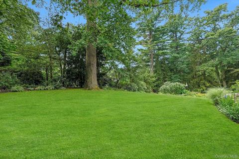 Yard