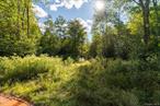 Discover 5.3 scenic acres in the heart of Roscoe, NY â€“ known as â€œTrout Town, USA.â€ This parcel offers an opportunity for development, investment, or retreat. Featuring a open land and wooded area, this property provides a variety of uses, whether youâ€™re considering a vacation home or a small cabin. Conveniently located near Route 17 and renowned fishing streams, and Catskill attractions, this lot combines privacy with accessibility. A great opportunity anyone seeking to create their vision in the Catskills.