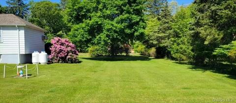 Yard