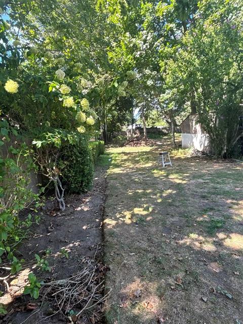 Yard