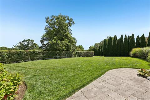 Yard