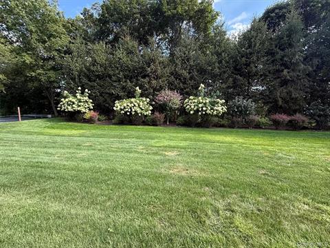 Yard