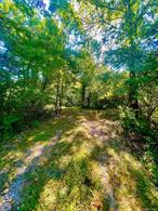 Looking for a beautiful lot in Washingtonville School District on over 3 acres of land? Partially cleared level property is in a great location minutes to Stewart International Airport, Rt 207/Rt. 300/I84/Rt 208 and within 1 hour and 15 min to NYC. Just need some ideas, bring your plans and get your dream home built!