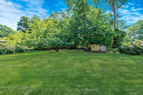 Yard