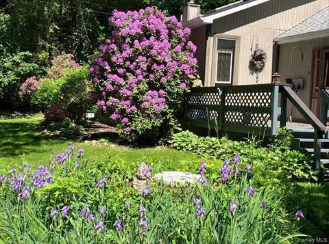 Yard