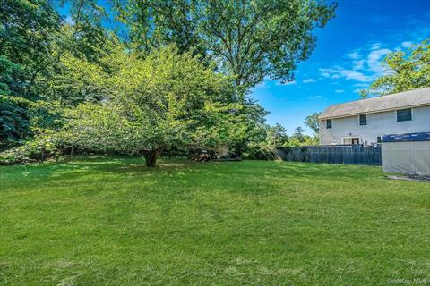 Yard
