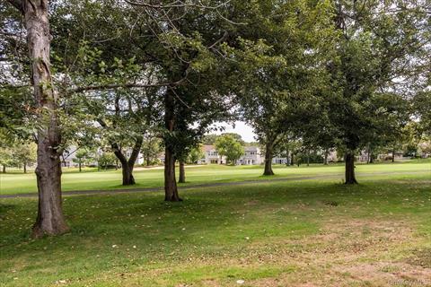 Golf Course