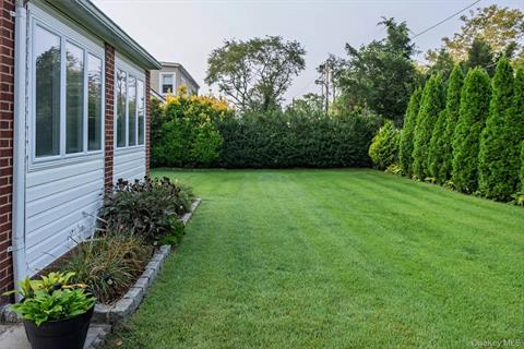 Yard