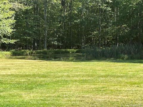 Pond