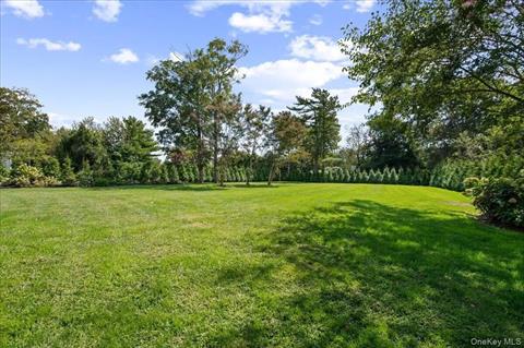 Yard