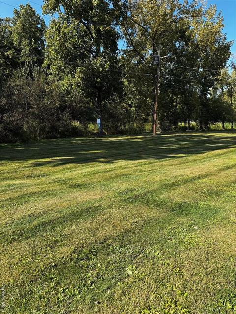 Yard