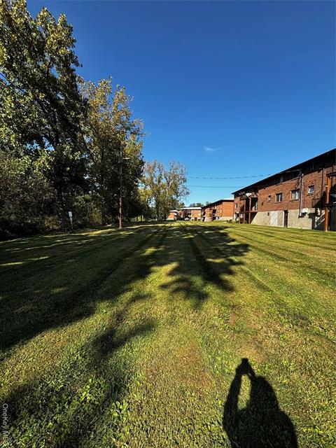 Yard